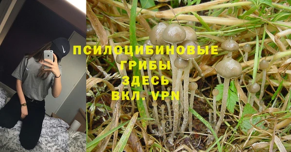бутират Михайловск