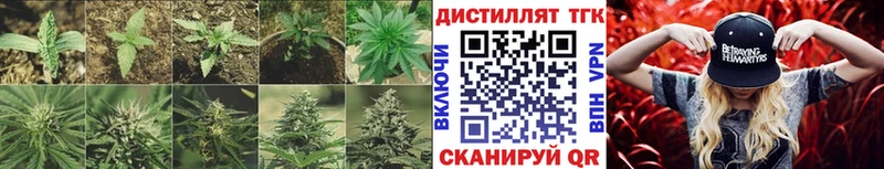 Дистиллят ТГК THC oil  Купить закладки  Меленки 